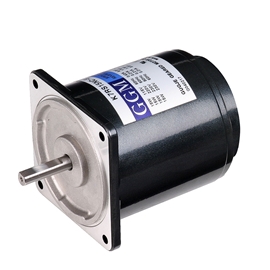 6W SP調(diào)速電機